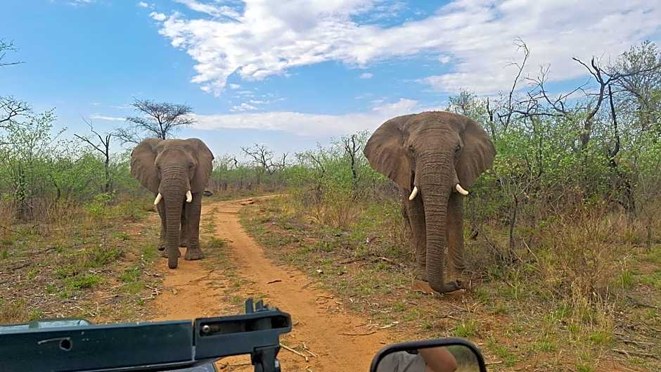Tamboti Bush Lodge
