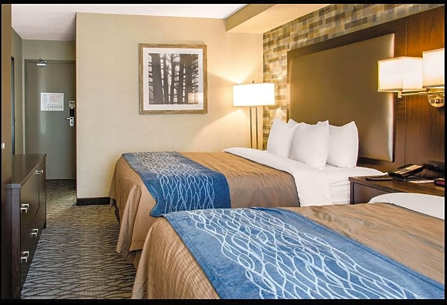 Photo 1 of 14 of 2 Queen Beds
