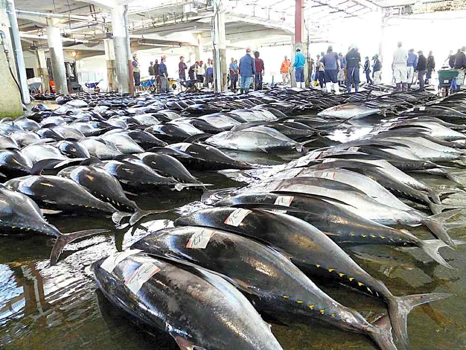 Pulse Inn Katsuura - Vacation STAY 44386v