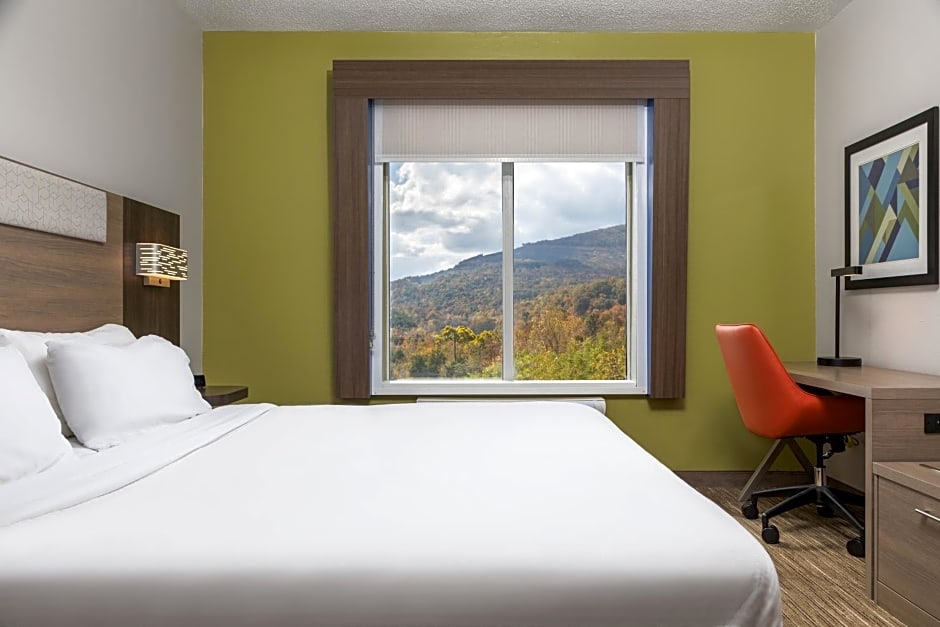 Holiday Inn Express Hotel & Suites Chattanooga-Lookout Mountain