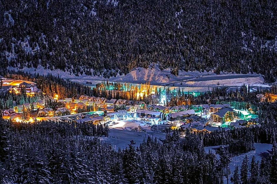 Private Hot Tub Ski In Ski Out Sleeps 9