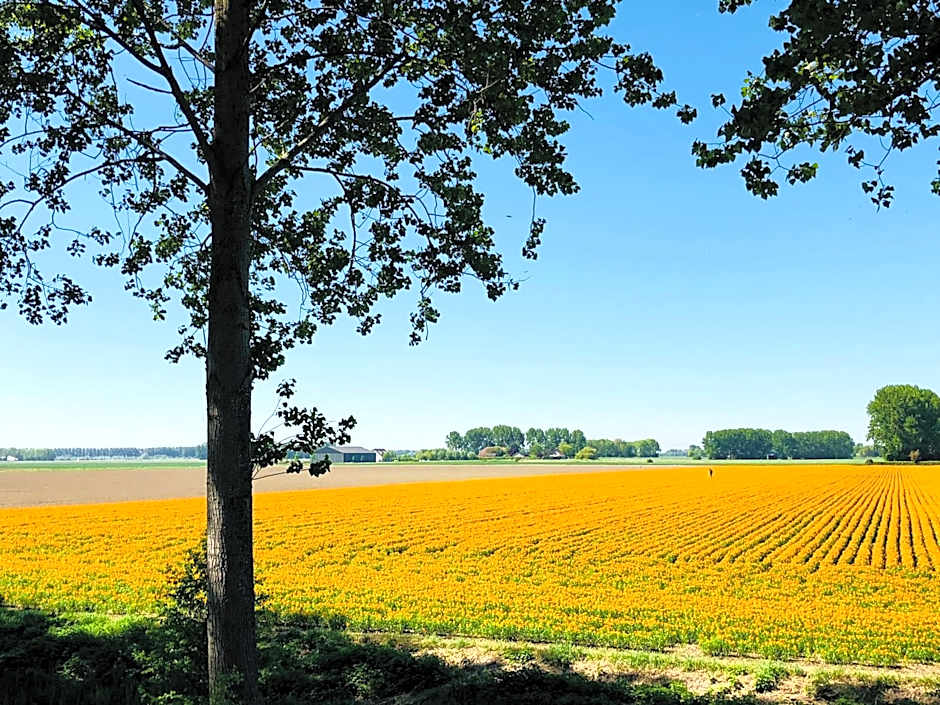 Slapen bij de Zeeuwse Lala