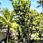 Hill Zone Home Stay by Little Paradise