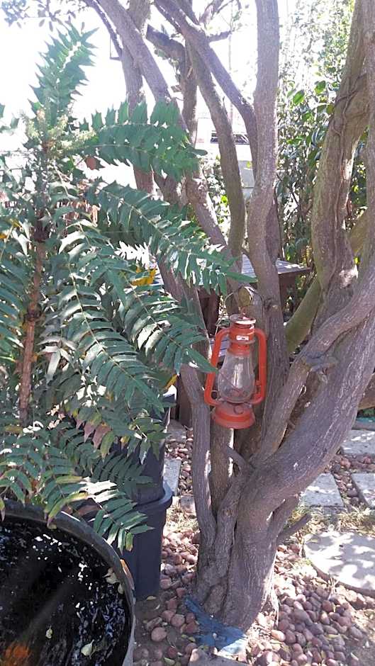 Pennylane Guest House