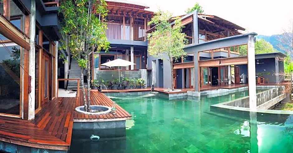 The Shorea