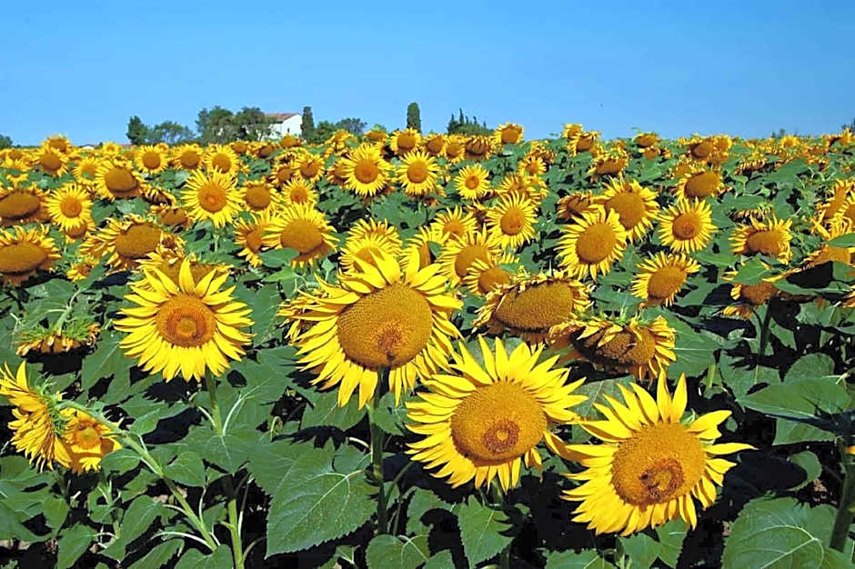 Villa Mazzanta Relais & Hotel