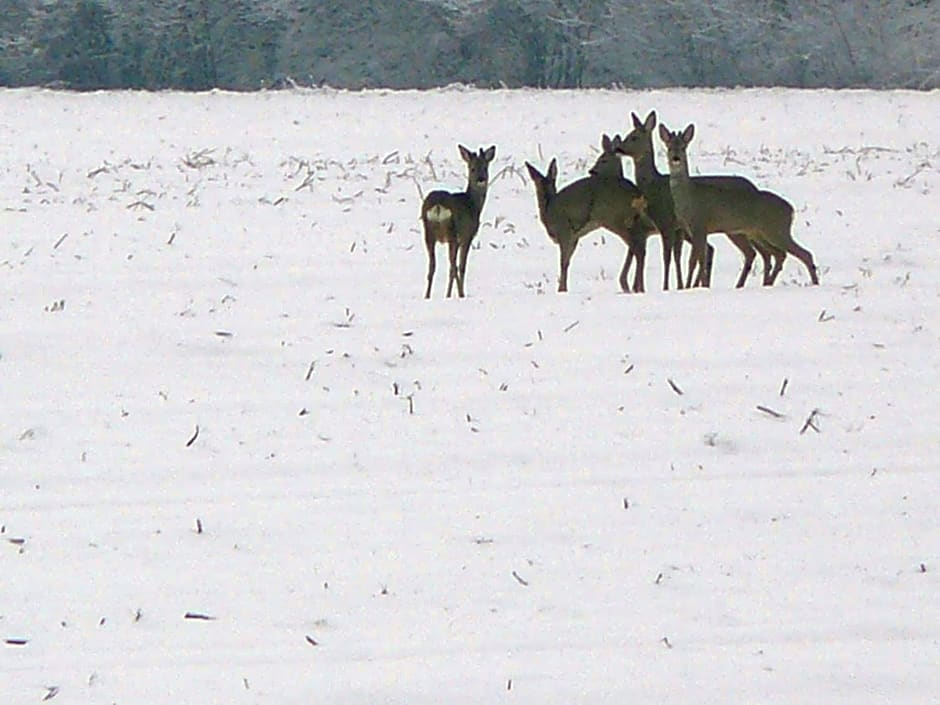 Stichting Veenloopcentrum Weiteveen