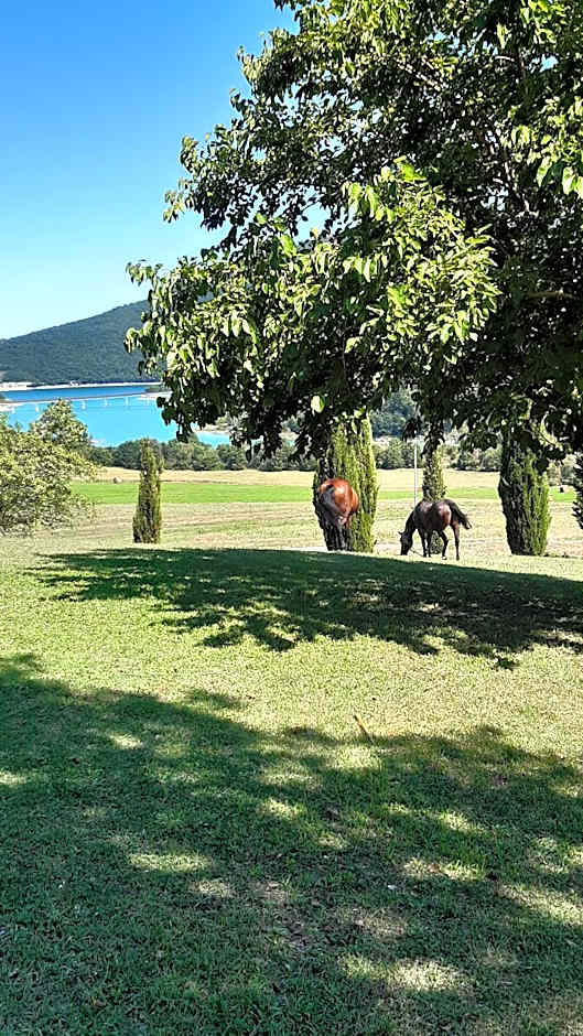 Horti del Baio
