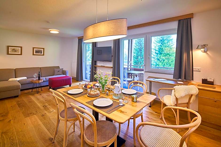 Apartments Hohenberger Mallnitz - Tauernbad und Sauna im Winter inklusive!