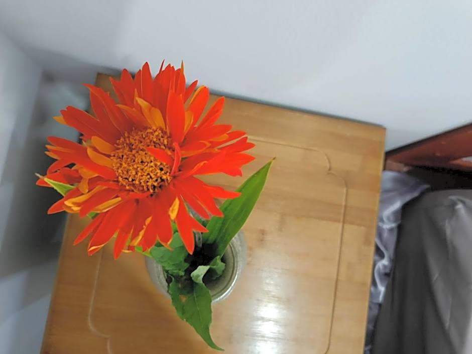 Lovely Paradise Phangan Hotel