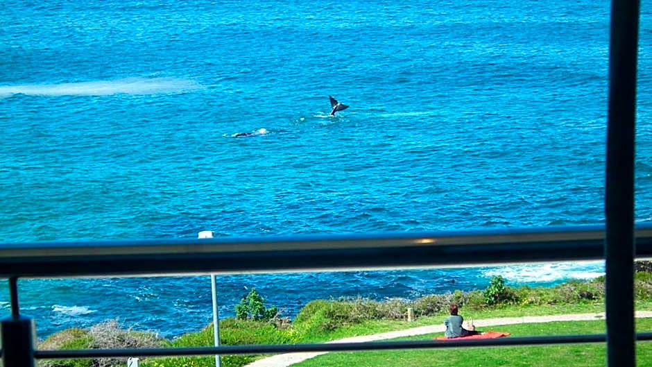 Misty Waves Boutique Hotel