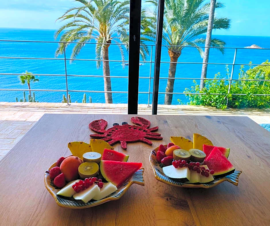 El jardin Botánico Villa LUZ