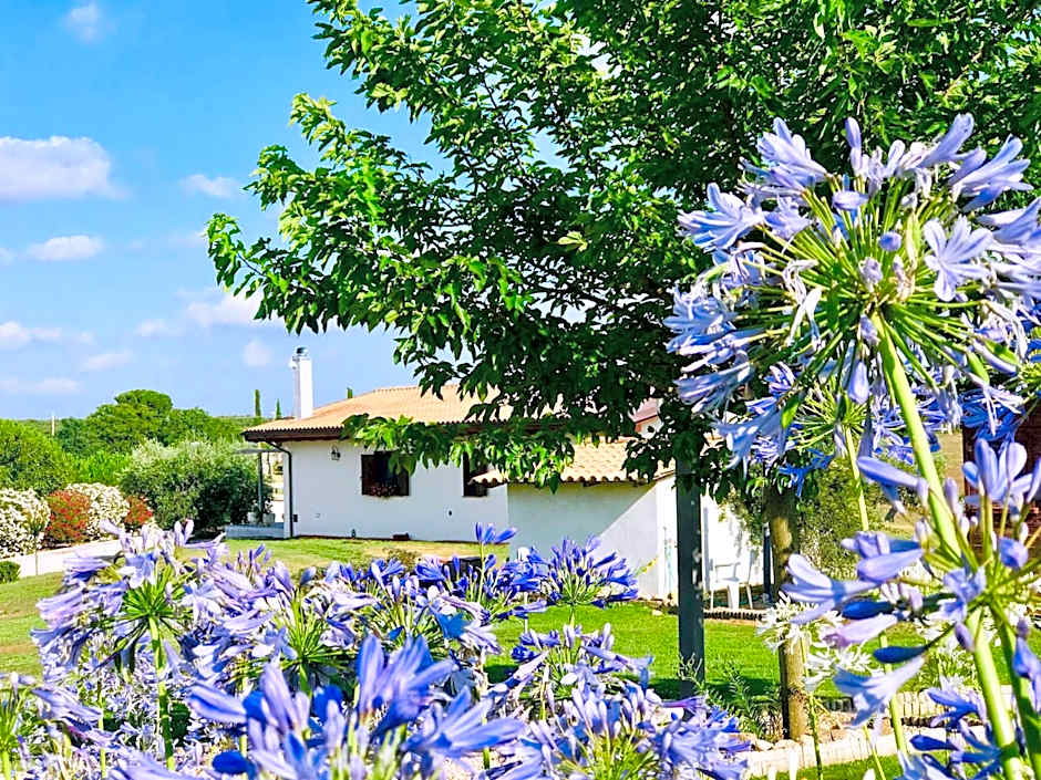 La collina delle fonti