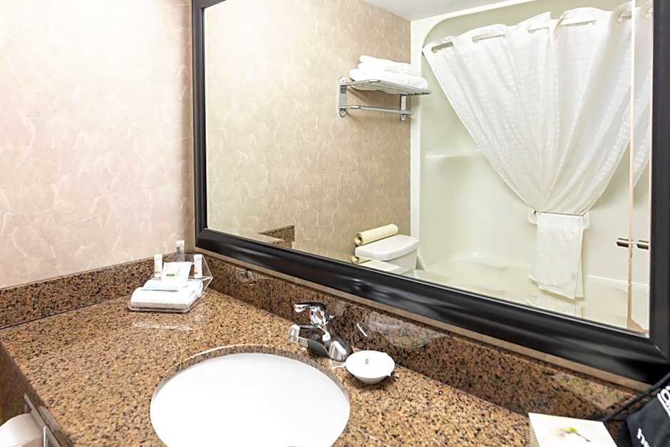 Royal Hotel West Edmonton, Trademark Collection by Wyndham