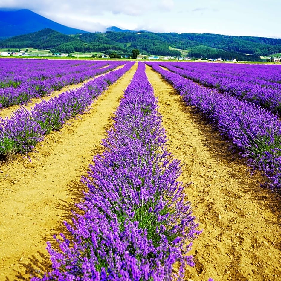 Furano Natulux Hotel