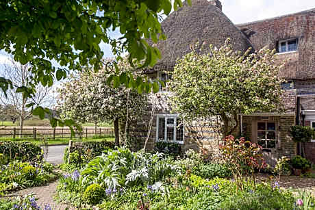 Tudor Cottage B&B Frampton