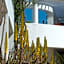 Bitzaro Grande Hotel & Suites
