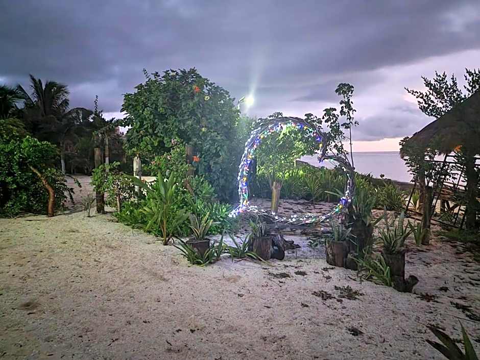 Experiencia Casa Blanca