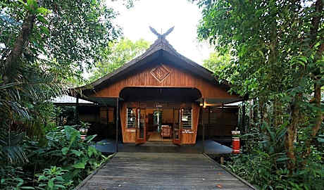 Rimba Orangutan Eco Lodge