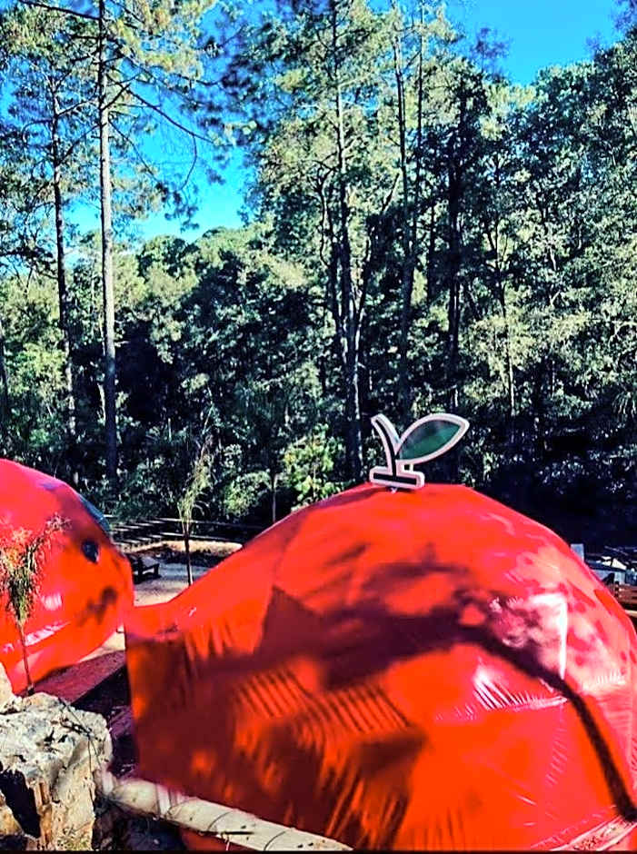 Cabaña Zacatlan Jacuzzi