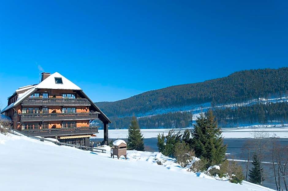 Alemannenhof - Boutique Hotel am Titisee