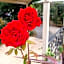 Hahndorf House B&B