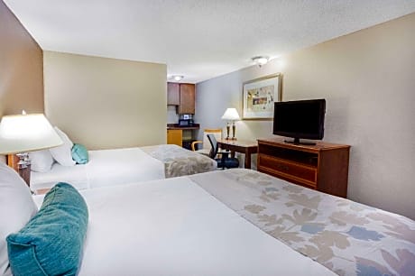 Efficiency Room with Two Queen Beds - Non-Smoking