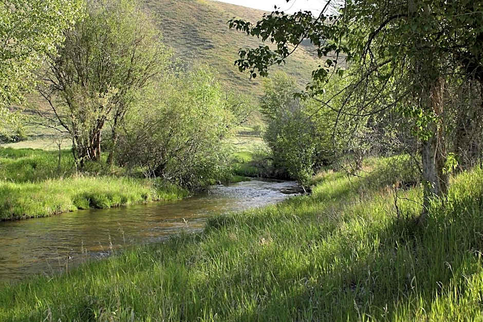Rye Creek Lodge