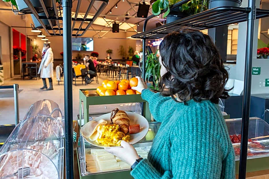 Roma Camping in Town