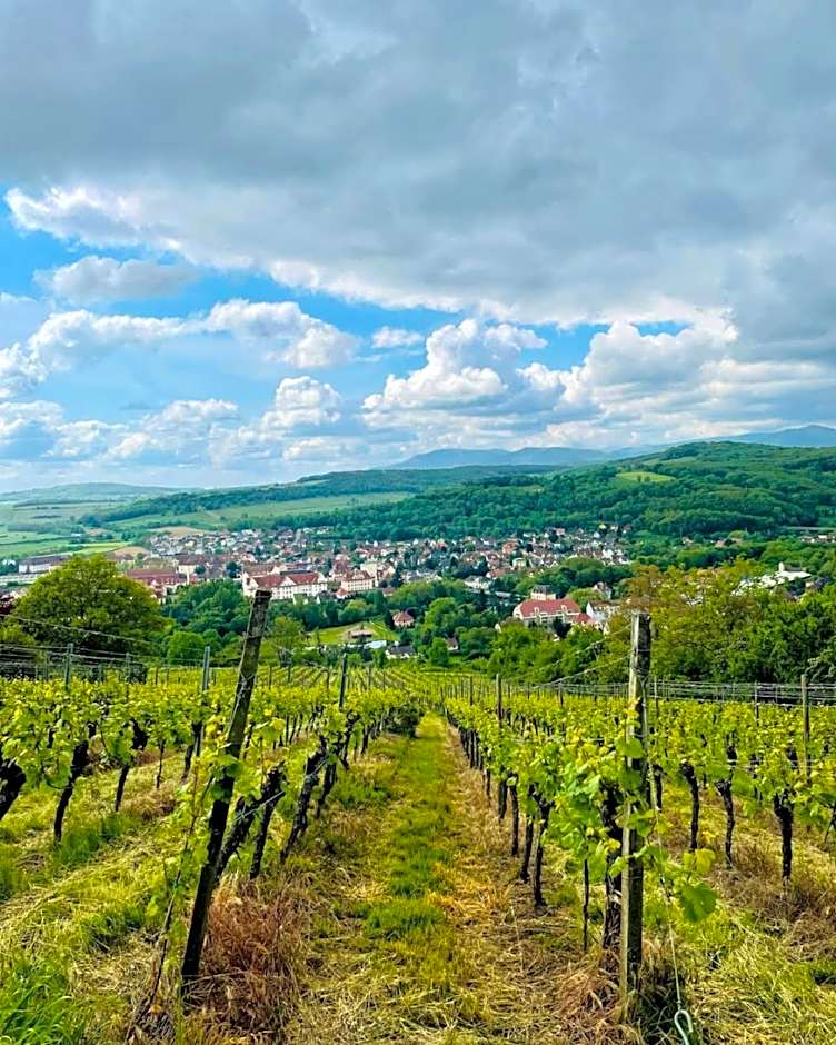 Hôtel L'Ours De Mutzig