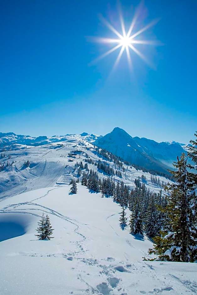 Hotel Alpenwelt Superior