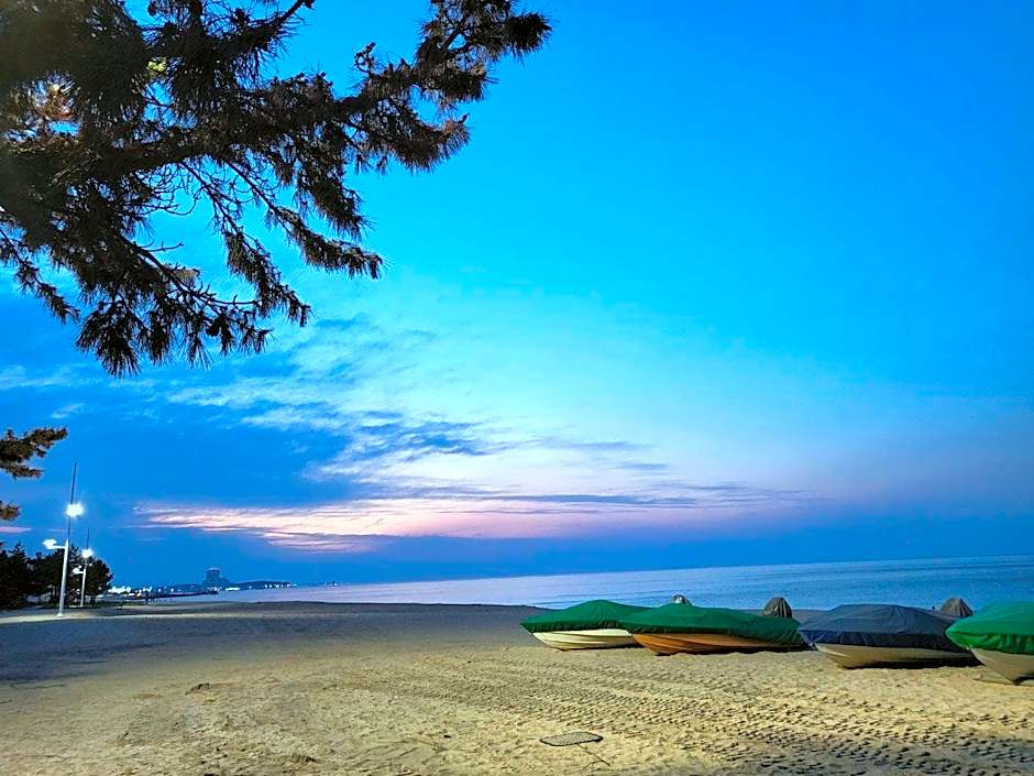 Hi Ocean Gyeongpo