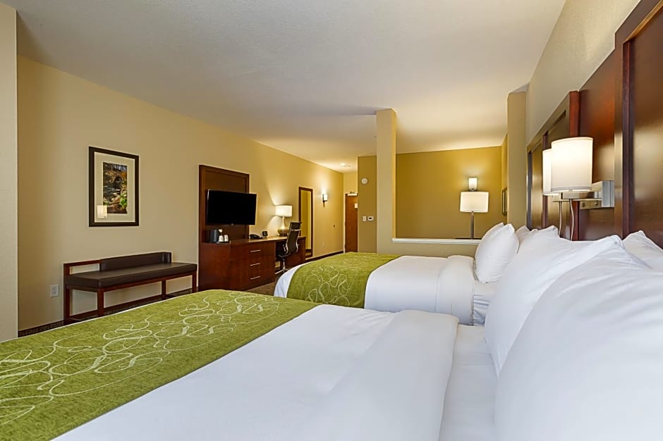 Comfort Suites Greenville South