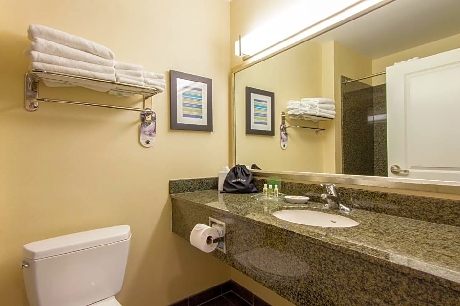Holiday Inn Scottsdale North- Airpark By IHG