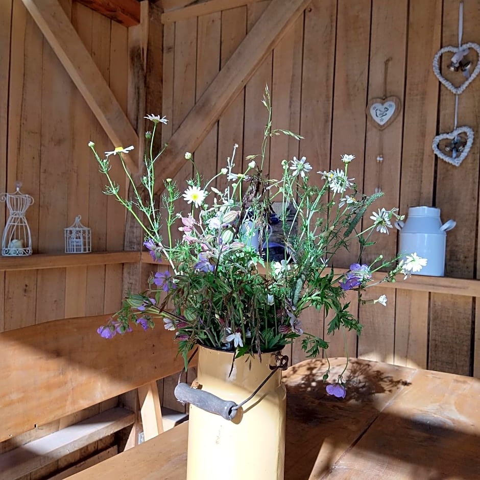 Agroturystyka Cold Sea