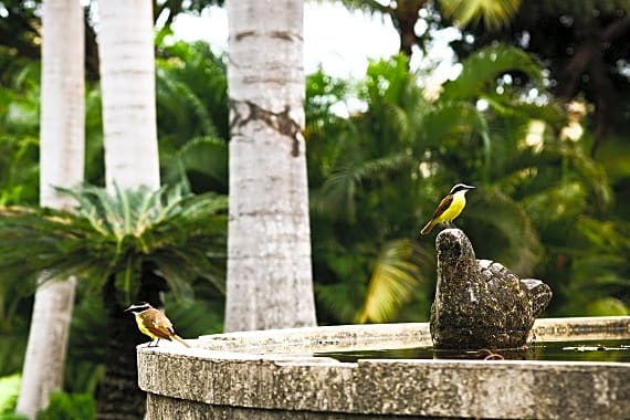 Casa Velas Adults Only All Inclusive