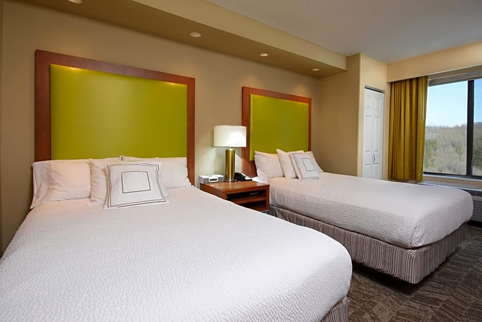 SpringHill Suites by Marriott Lynchburg Airport/University Area