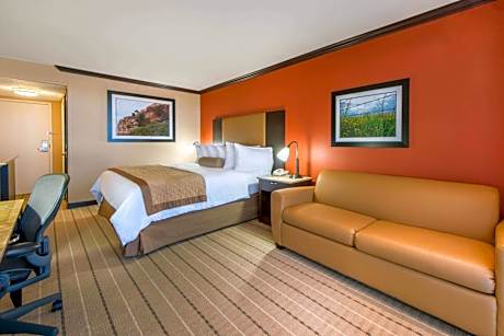 King Room with Bath Tub - Mobility Accessible/Non-Smoking