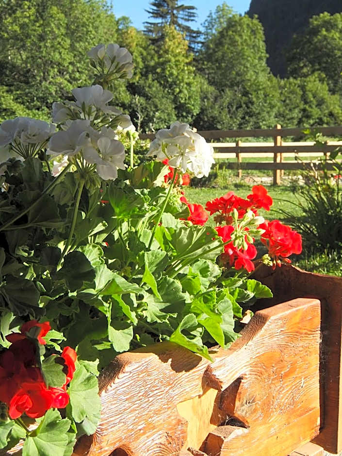 La Luge D'Antan Maison d'Hôtes & SPA