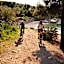 VILLA ADRIATICA HOTEL - ADULTS ONLY