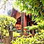 Save Bungalow Koh Tao