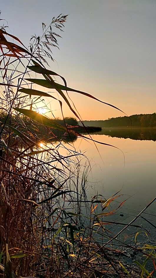 Yellow House Dziwnów