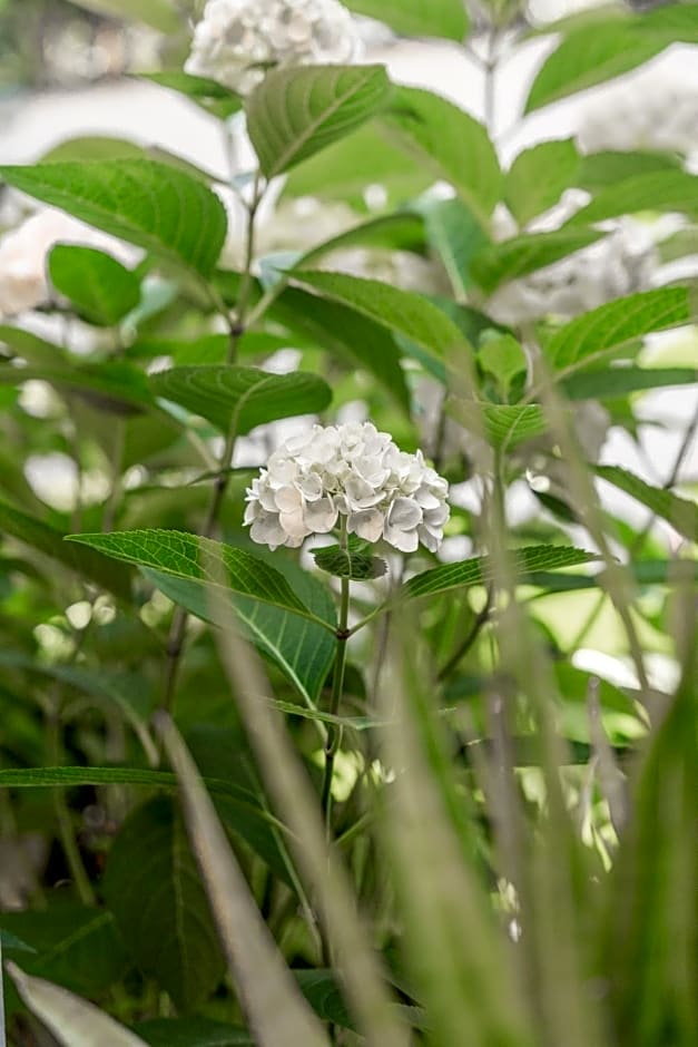 Alliance garden room