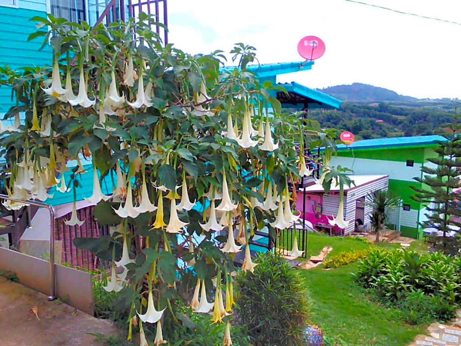 พักดีโฮม วิวหมอก เขาค้อ