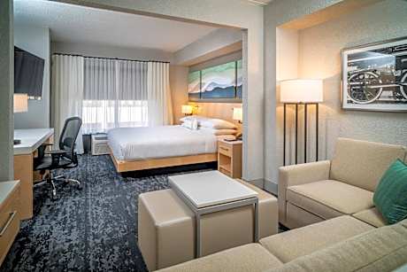 Guest room, 1 King, Sofa bed