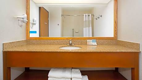 1 King Bed Deluxe Room Non-Smoking