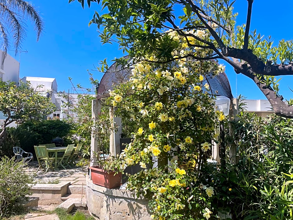 B&B Ophelia – Otranto, OK