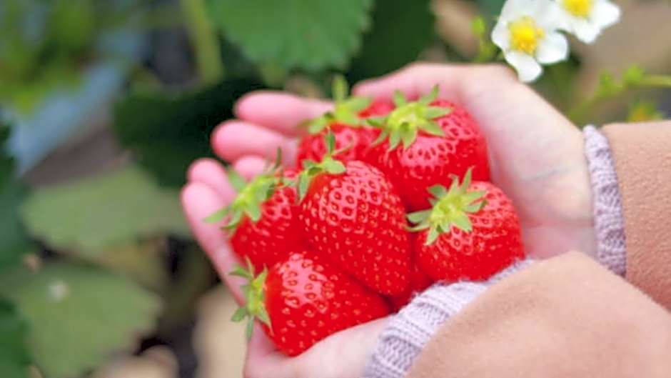 Hotel Shiki no Yakata Nasu