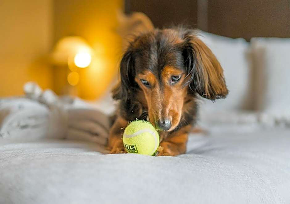 Temple Gardens Hotel & Spa