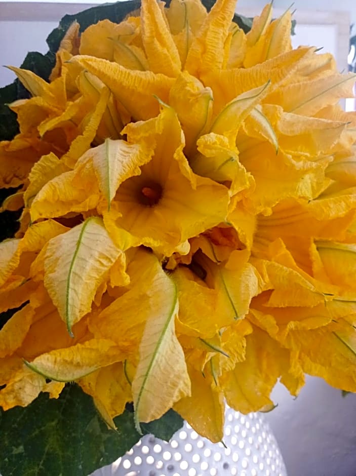 Al Capretto d'Oro